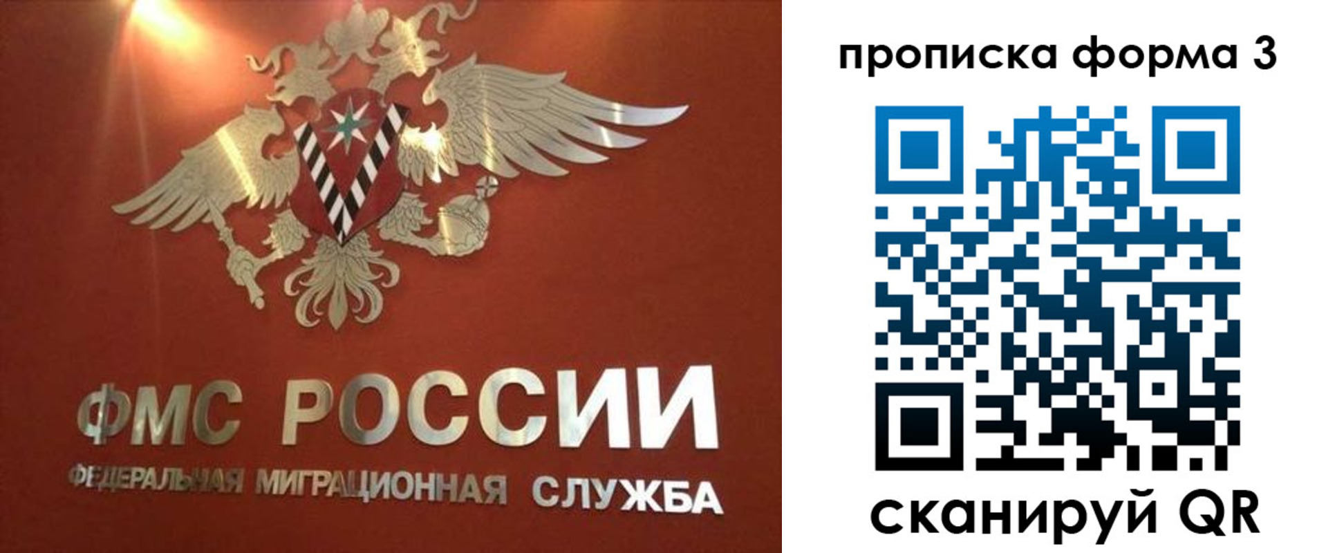 регистрация в Петропавловске-Камчатском