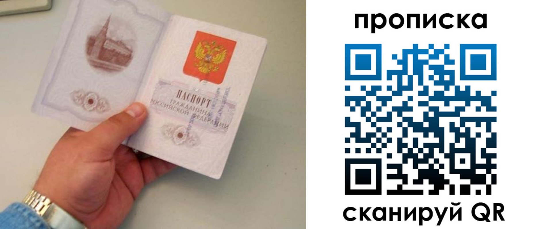 временная регистрация гарантия в Петропавловске-Камчатском
