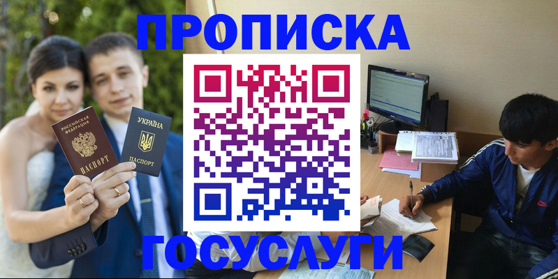временная регистрация в Петропавловске-Камчатском